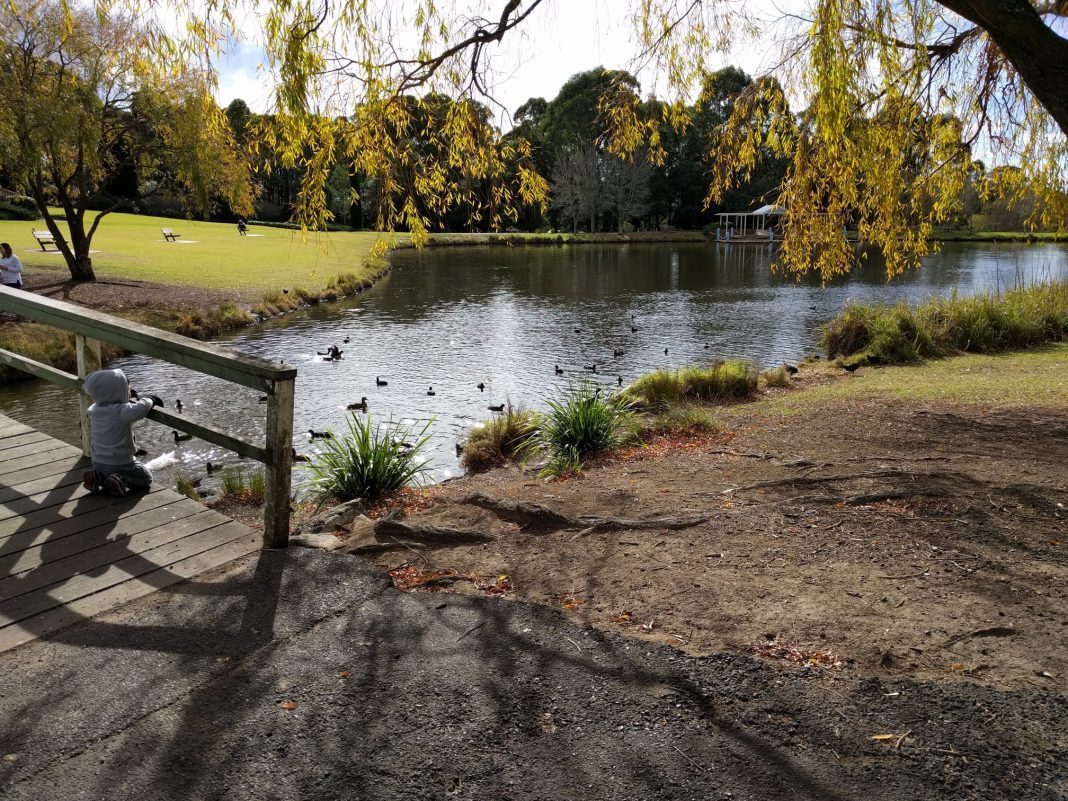 Exploring Galston Dining: Why Galston Grill Isn't on Top Lists